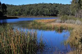 Save the Beaconsfield Reservoir Action Group logo